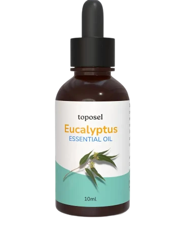 Eucalyptus Oil
